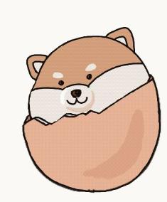 Baby Shiba