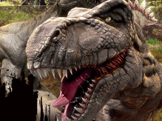 DINO AND 